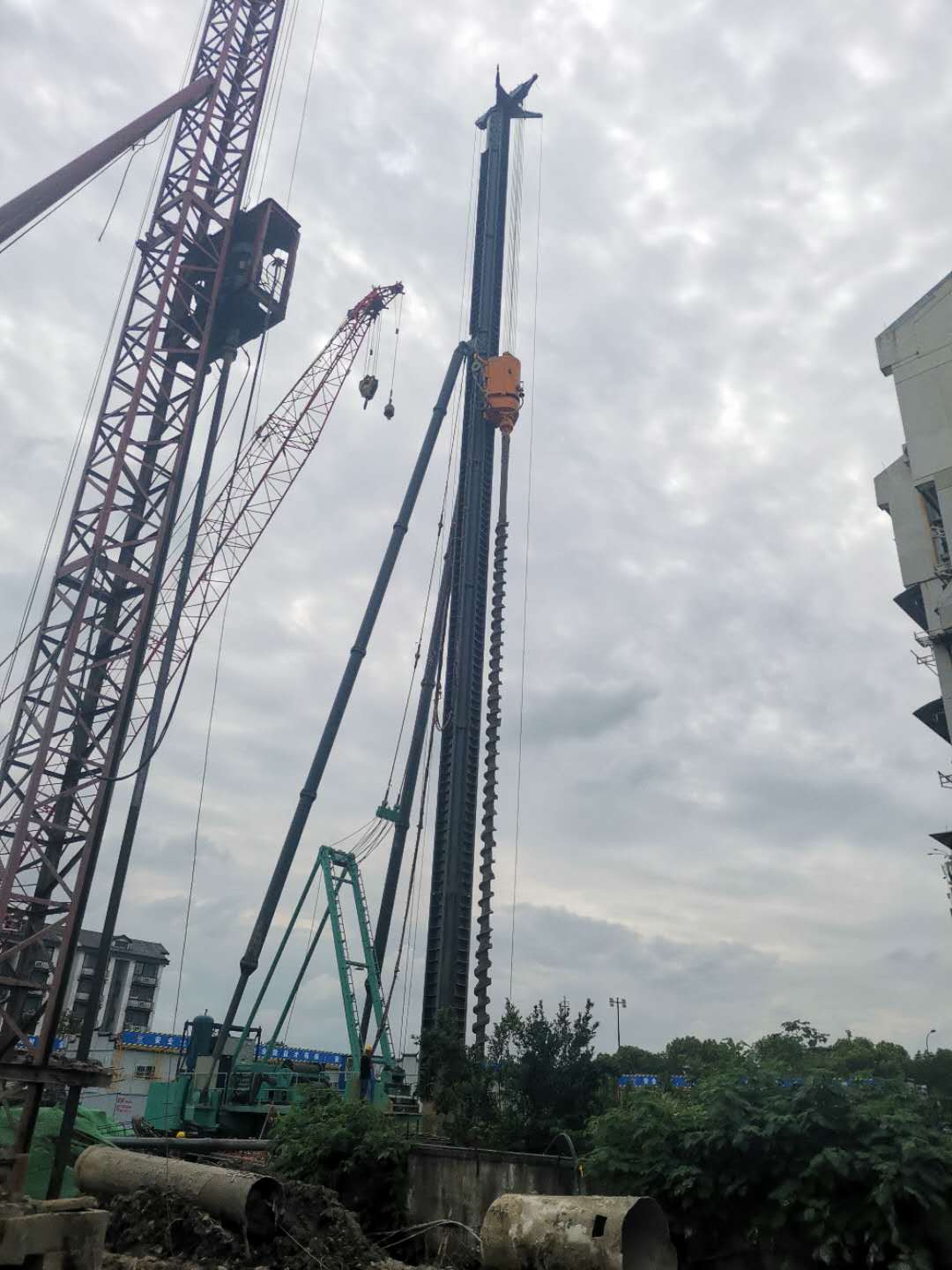 2024新澳门免费原料网