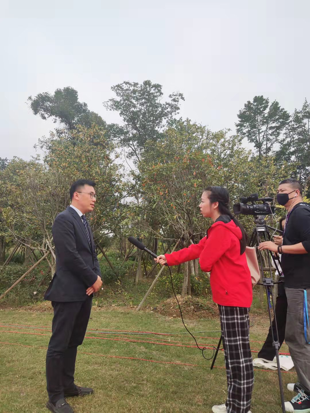 2024新澳门免费原料网